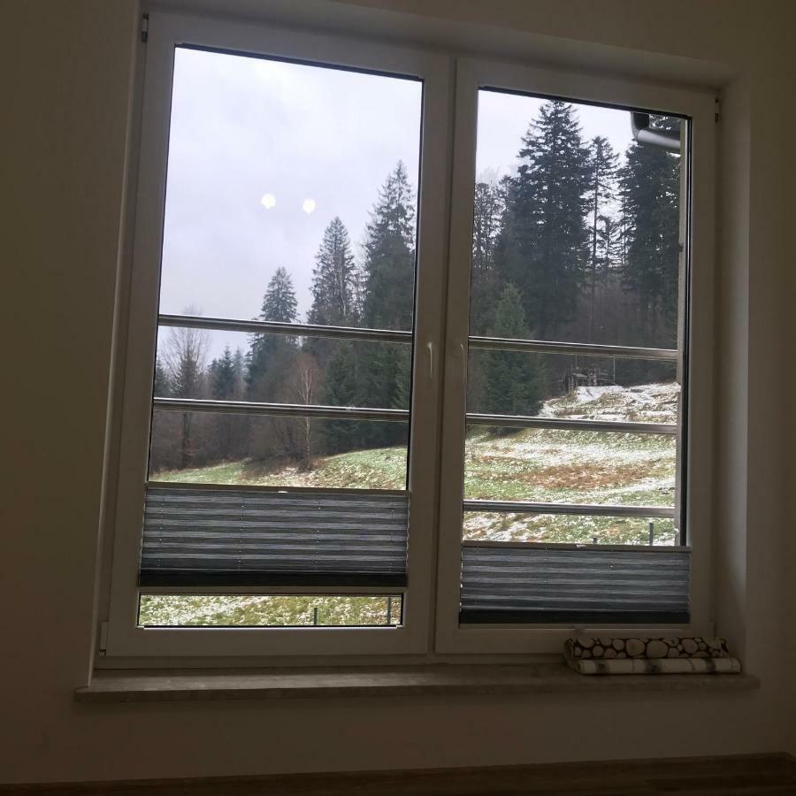 Willa Przy Skoczni Dom Wakacyjny Wisła Eksteriør billede